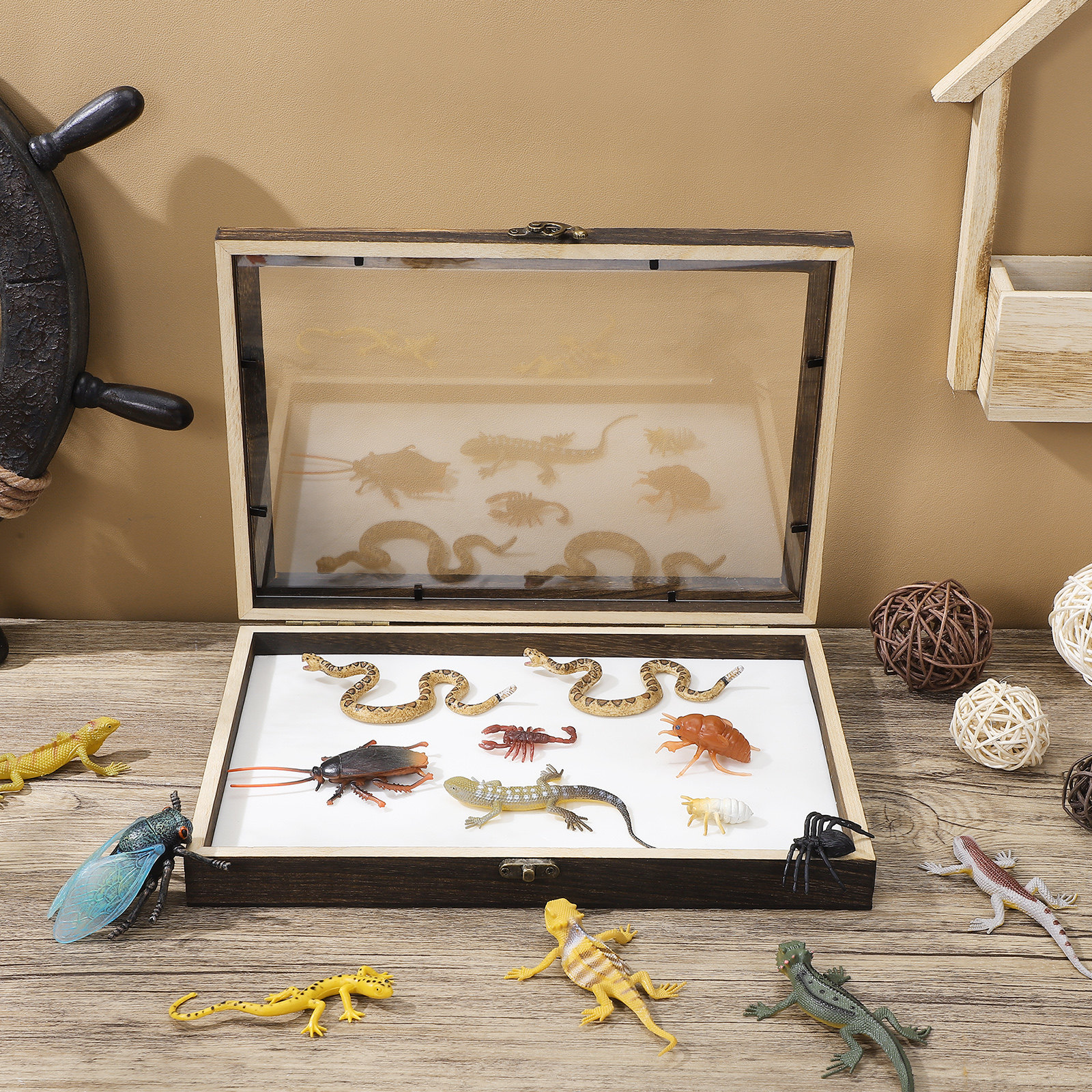 1Set Wood Specimen Storage Box – обзор и цена Frame Display Wood