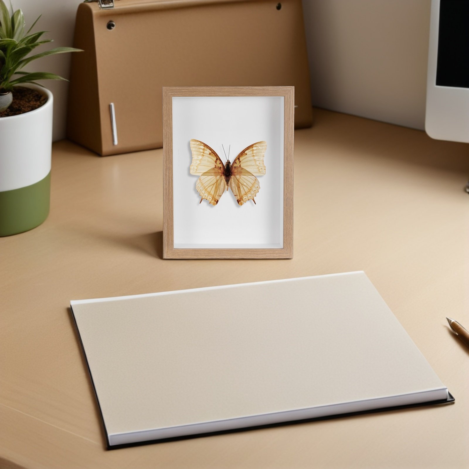 Wooden Framed Bug Display Case – обзор и цена Frame Display Wood
